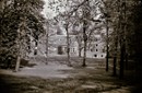 Picture  15